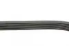 Ремень поликлиновой Conti continental 7PK1125