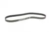 Ремень поликлиновой Conti continental 7PK1125