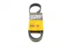 Ремень поликлиновой Conti continental 7PK1125