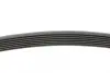 Ремень поликлиновой Conti continental 7PK1642