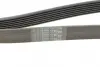 Ремень поликлиновой Conti continental 7PK1642