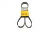 Ремень поликлиновой Conti continental 7PK1642