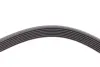 Ремень поликлиновой Conti continental 7PK1705
