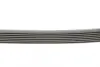 Ремень поликлиновой Conti continental 7PK1855