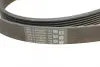 Ремень поликлиновой Conti continental 7PK1855
