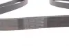 Ремень поликлиновой Conti continental 7 PK 2255