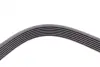 Ремень поликлиновой Conti continental 7 PK 2255
