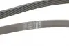 Ремень поликлиновой Conti continental 7 PK 2283