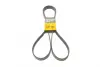 Ремень поликлиновой Conti continental 7 PK 2283