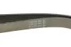 Ремень поликлиновой Conti continental 7PK2842