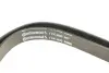 Ремень поликлиновой Conti continental 7PK2842