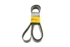 Ремень поликлиновой Conti continental 7PK2842