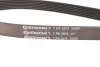 Ремень поликлиновой Conti continental 7PK2875