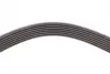 Ремень поликлиновой Conti continental 7PK2875