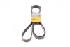 Ремень поликлиновой Conti continental 7PK2875