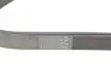 Ремень поликлиновой Conti continental 8PK2035