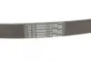Ремень поликлиновой Conti Lada2110 1.5 i continental 6PK745