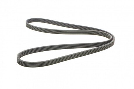 Привідний ремінь генератора continental 6DPK1853