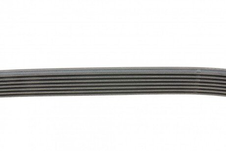 Приводной ремень генератора continental 7PK880