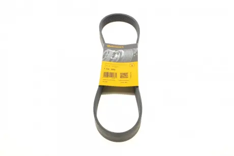 Ремень поликлиновой continental 7PK880