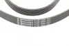 Ремень поликлиновой DAEWOO Nubira 1.6 16V (Пр-во ContiTech) continental 6 PK 1880