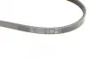 Ремень поликлиновой (Пр-во ContiTech) continental 3 PK 670