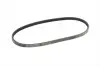 Ремень поликлиновой (Пр-во ContiTech) continental 3 PK 670