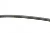 Ремень поликлиновой (Пр-во ContiTech) continental 3 PK 750