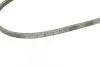 Ремень поликлиновой (Пр-во ContiTech) continental 3 PK 905