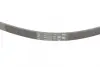 Ремень поликлиновой (Пр-во ContiTech) Continental 4PK1022ELAST (фото 3)