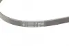 Ремень поликлиновой (Пр-во ContiTech) Continental 4 PK 1217 (фото 3)