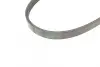 Ремень поликлиновой (Пр-во ContiTech) continental 4 PK 725