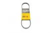 Ремень поликлиновой (Пр-во ContiTech) continental 4 PK 725
