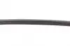 Ремень поликлиновой (Пр-во ContiTech) continental 4PK755