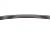Ремень поликлиновой (Пр-во ContiTech) continental 4PK780