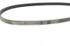 Ремень поликлиновой (Пр-во ContiTech) continental 4PK800