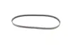 Ремень поликлиновой (Пр-во ContiTech) continental 4PK836