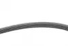 Ремень поликлиновой (Пр-во ContiTech) continental 4 PK 855