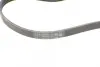 Ремень поликлиновой (Пр-во ContiTech) continental 4 PK 855