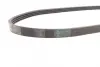 Ремень поликлиновой (Пр-во ContiTech) continental 4 PK 885