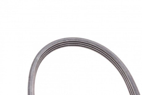 Привідний ремінь генератора continental 4PK922ELAST