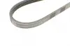 Ремень поликлиновой (Пр-во ContiTech) continental 4PK945