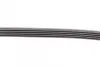 Ремень поликлиновой (Пр-во ContiTech) continental 5PK1025