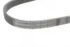 Ремень поликлиновой (Пр-во ContiTech) continental 5PK1030