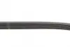 Ремень поликлиновой (Пр-во ContiTech) Continental 5PK1060 (фото 2)