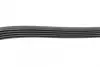Ремень поликлиновой (Пр-во ContiTech) continental 5PK1100