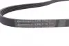 Ремень поликлиновой (Пр-во ContiTech) Continental 5 PK 1110 (фото 3)