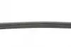 Ремень поликлиновой (Пр-во ContiTech) continental 5PK1125