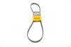 Ремень поликлиновой (Пр-во ContiTech) continental 5PK1212