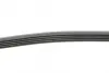 Ремень поликлиновой (Пр-во ContiTech) continental 5PK1230
